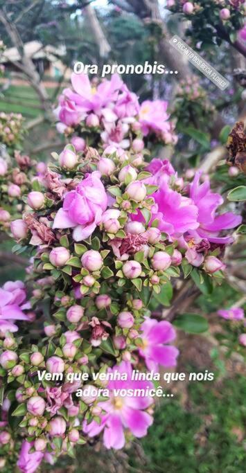 Recanto Dos Beija Flores, Chale Lantana C Monte Alegre do Sul Zewnętrze zdjęcie